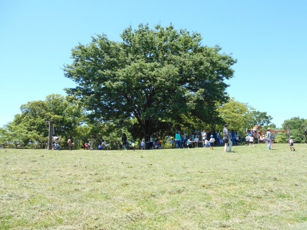 公園のシンボル樹の下で！